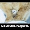 Мамкина радость