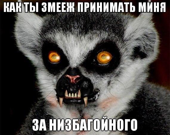 каг ды змеежь)))))