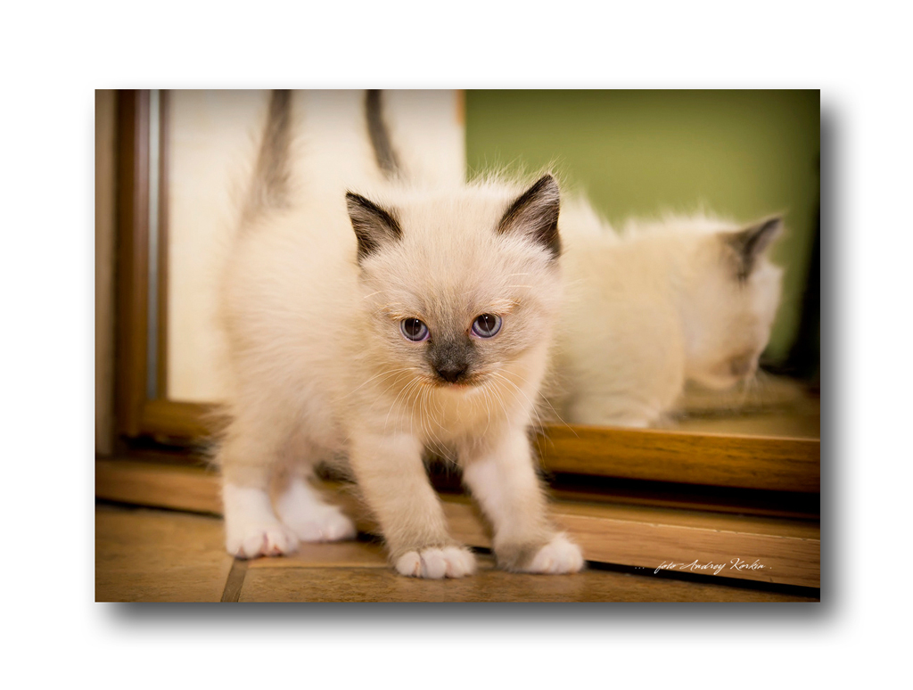 характер,однако...