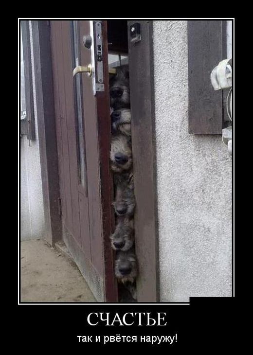Счастье рвется наружу