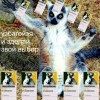 сделай свой выбор! сделай свой выбор!