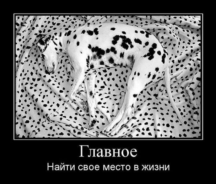 Свое место в жизни