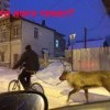 Кто кого тянет? Кто кого тянет?