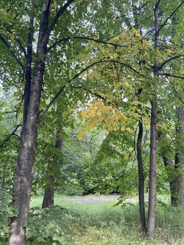 Осень наступает нам на пятки