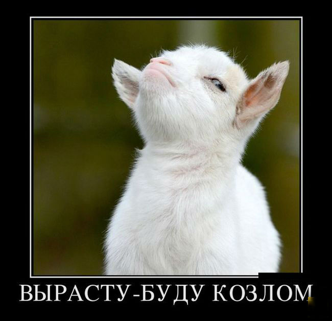 Вырасту-буду КОЗЛОМ