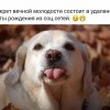Секрет вечной молодости