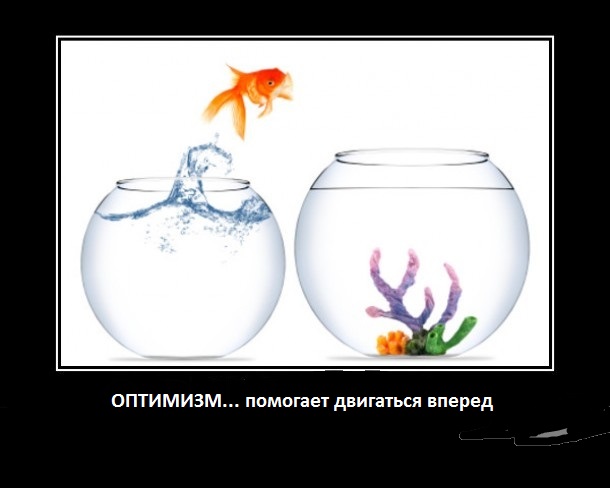 Оптимизм