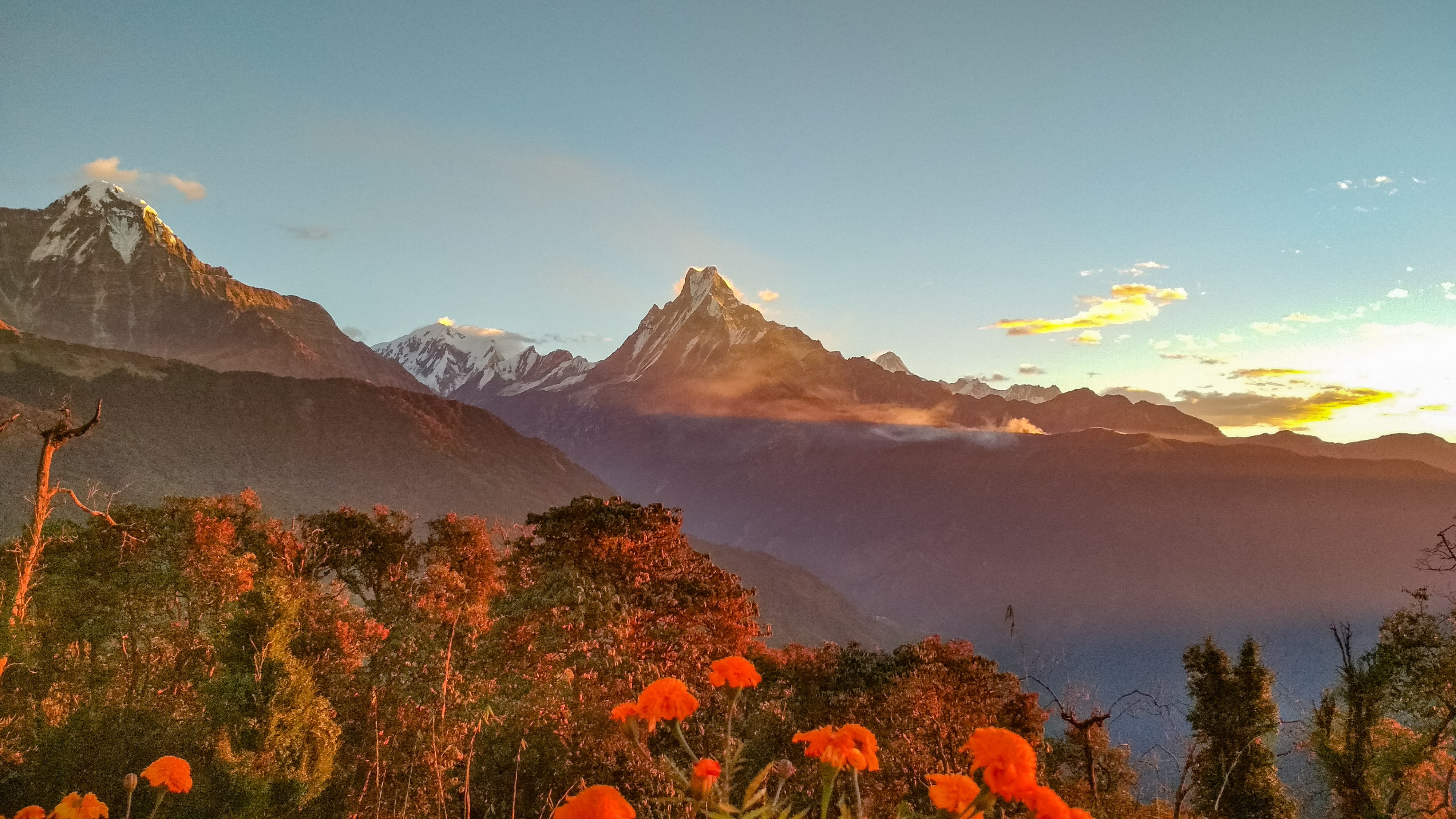 Утро 31 декабря 2017