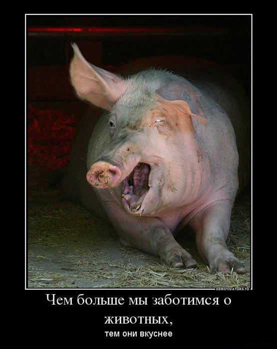 Забота