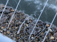 Вода камень точит...