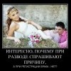 Причина развода Причина развода