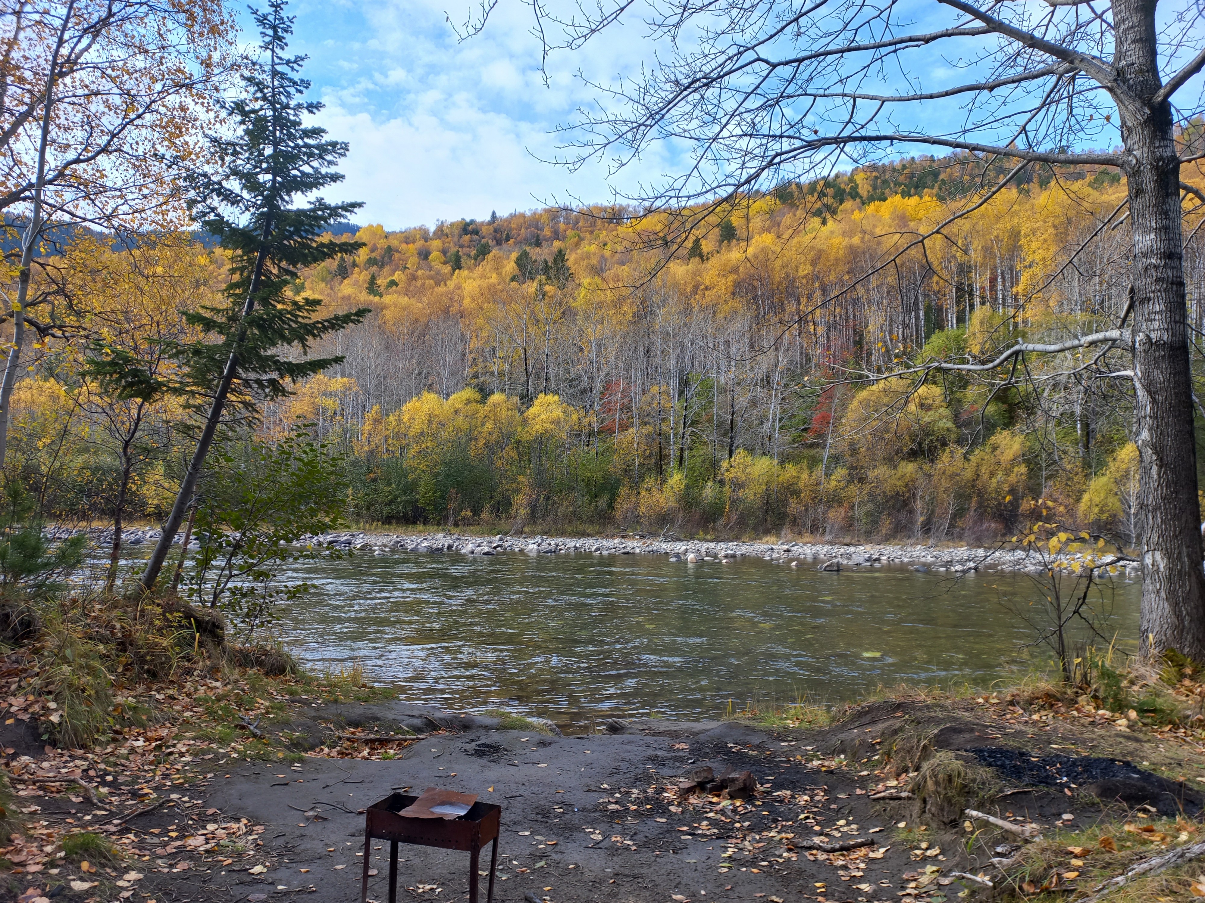 Я в осеннем лесу пил... берёзовый сок