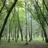 IMG 1996 (133) IMG 1996 (133)