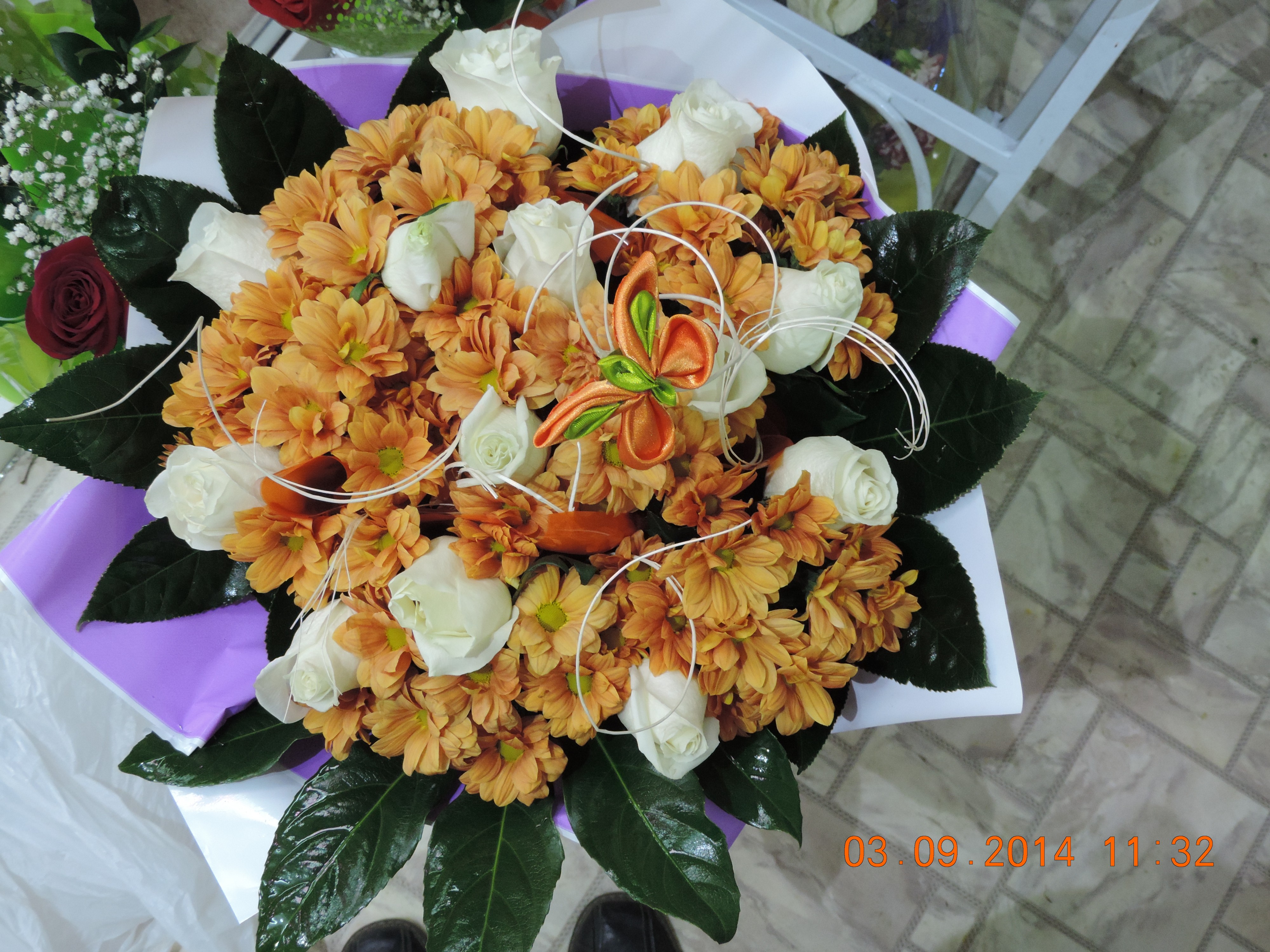 DSCN0987