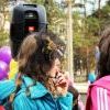 IMG 7179