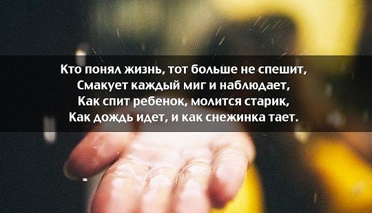 Кто понял жизнь