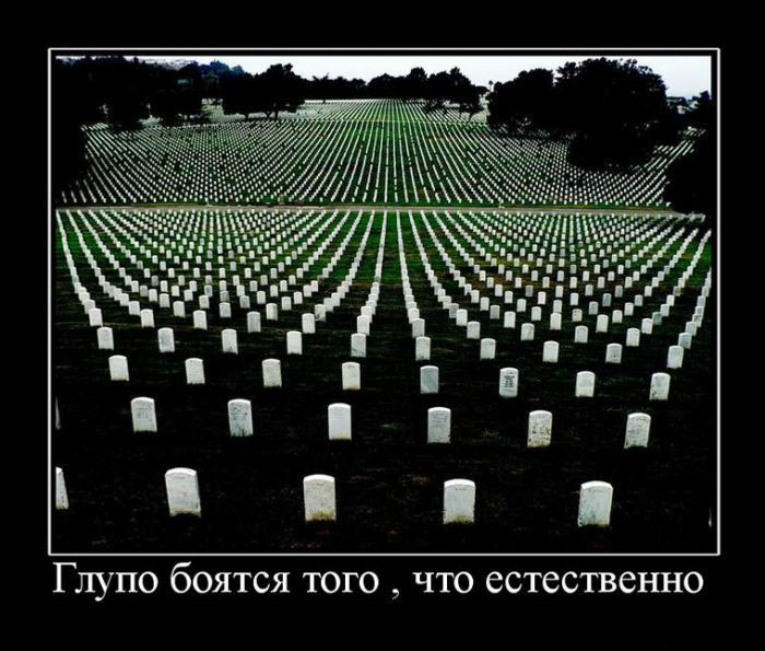 Глупо бояться