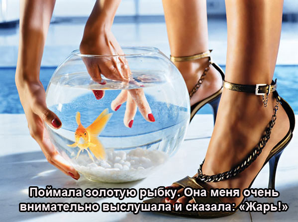 Поймала золотую рыбку...