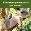 не можешь противостоять))))))