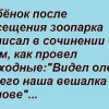 После посещения зоопарка