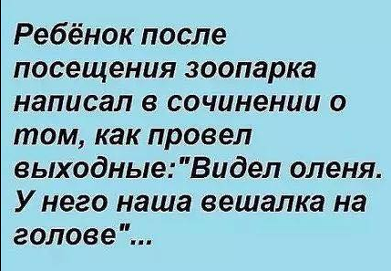 После посещения зоопарка