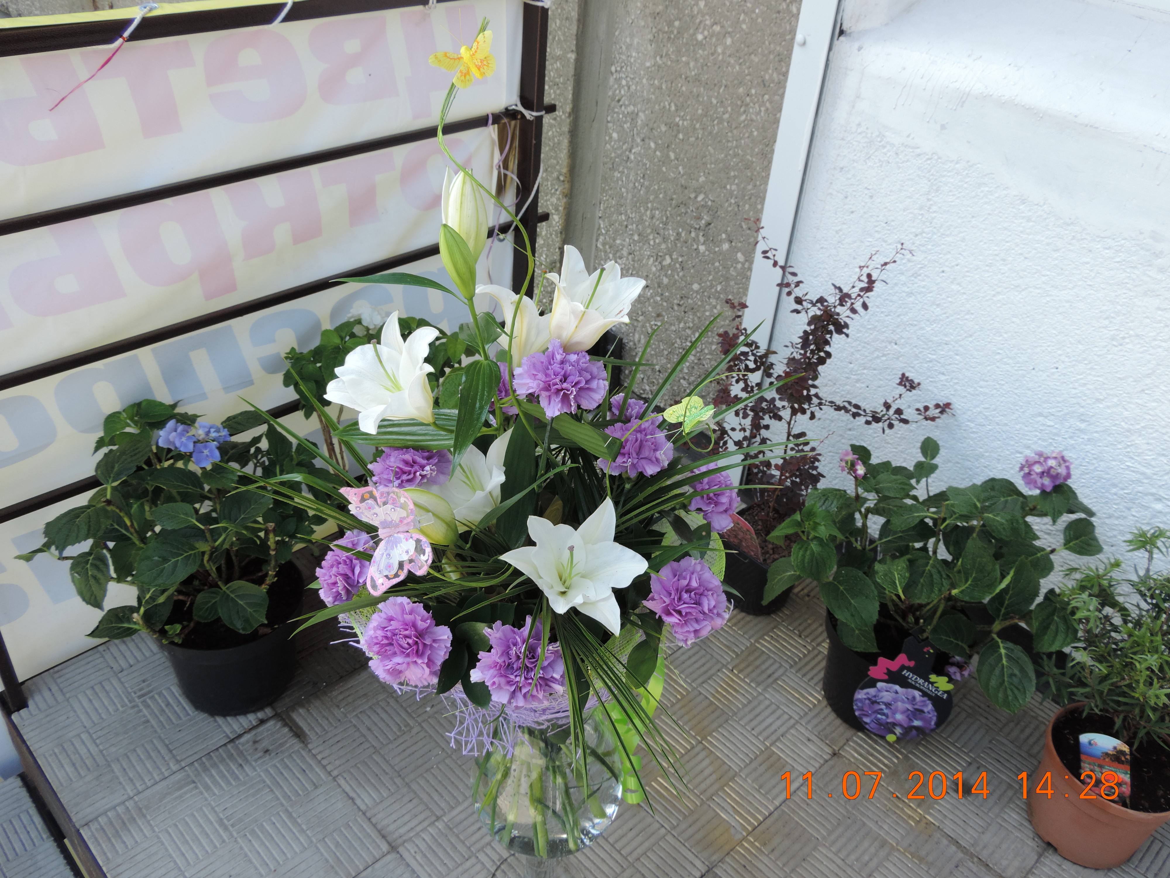 DSCN0900
