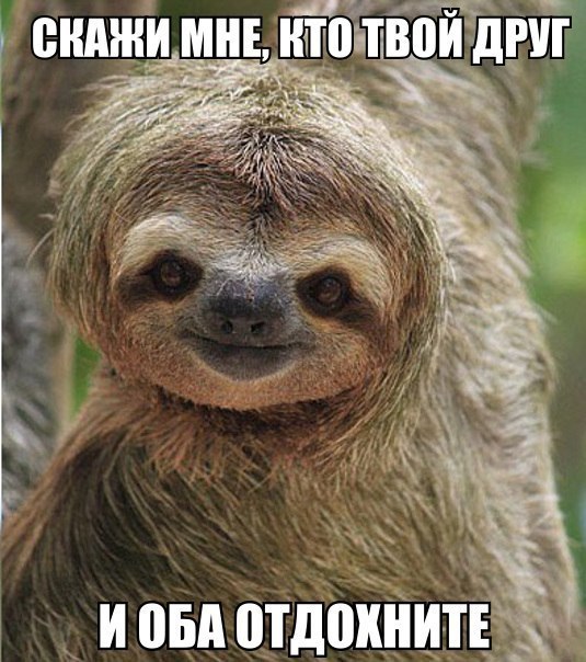 отдохнин)))))