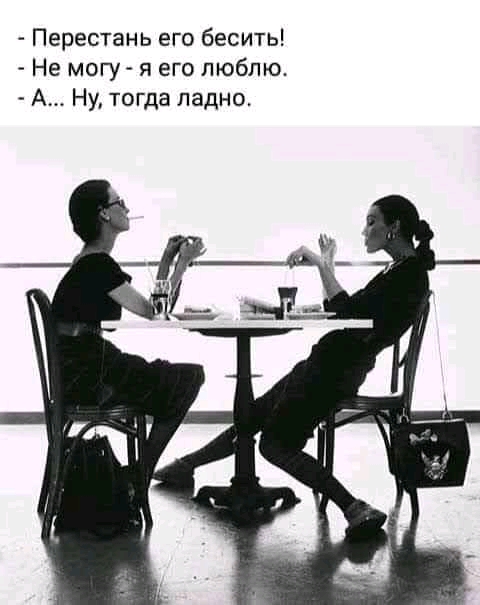 Перестань его бесить