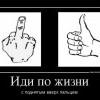 Иди по жизни Иди по жизни