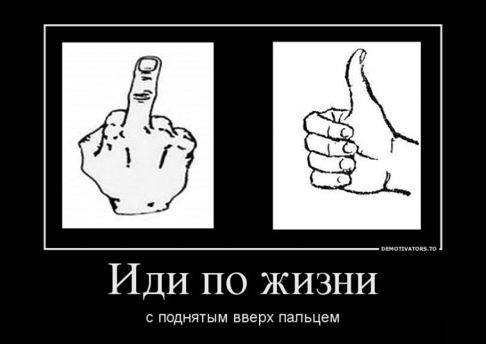 Иди по жизни