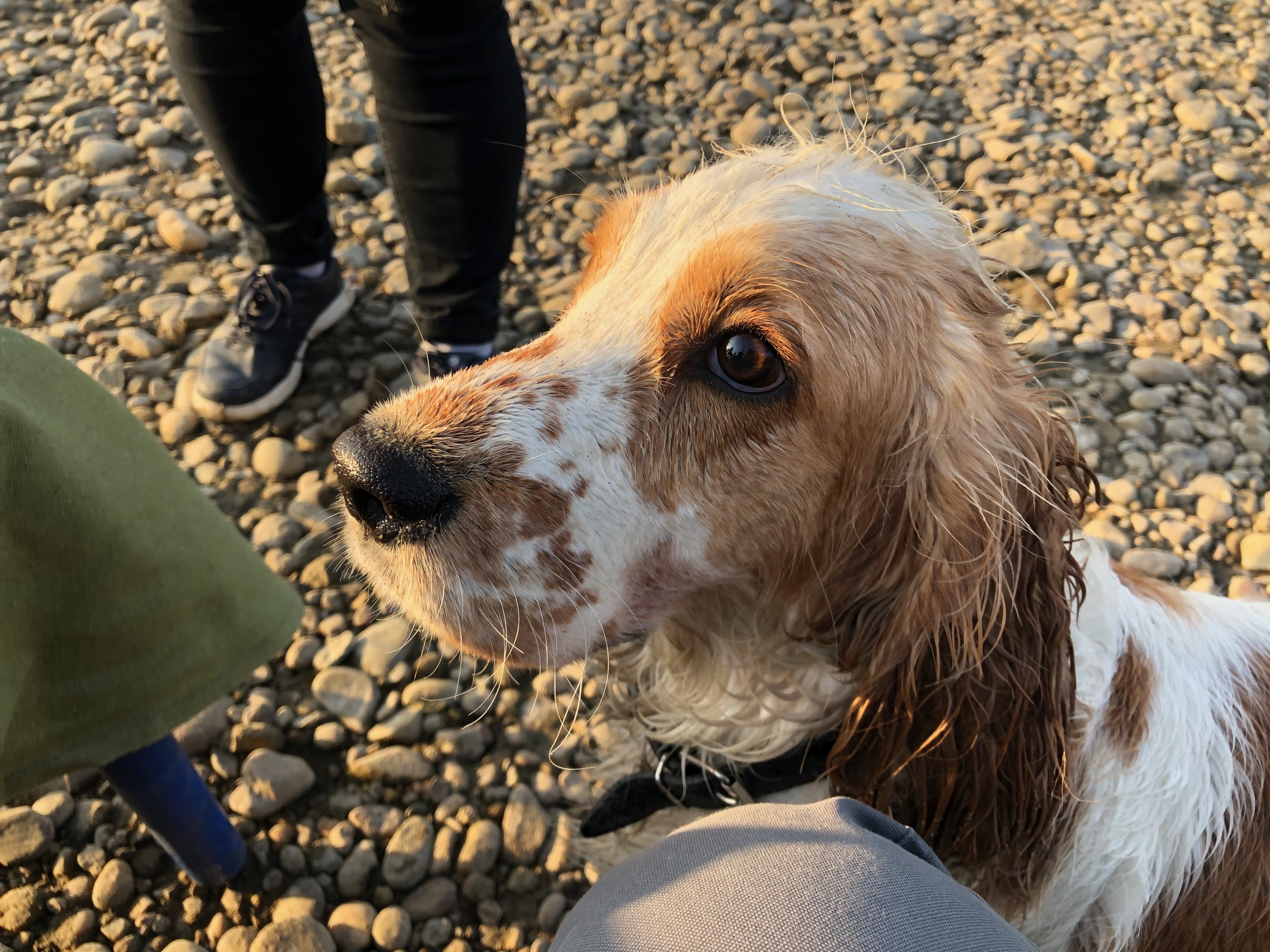 Есть чё пожрать?