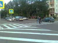 Зебра у Современника