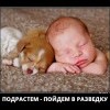 Малыши Малыши