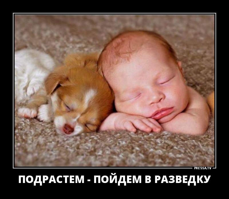 Малыши