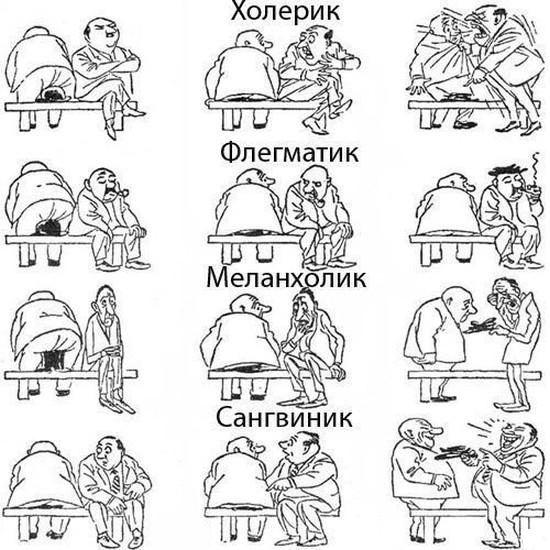 Темперамент