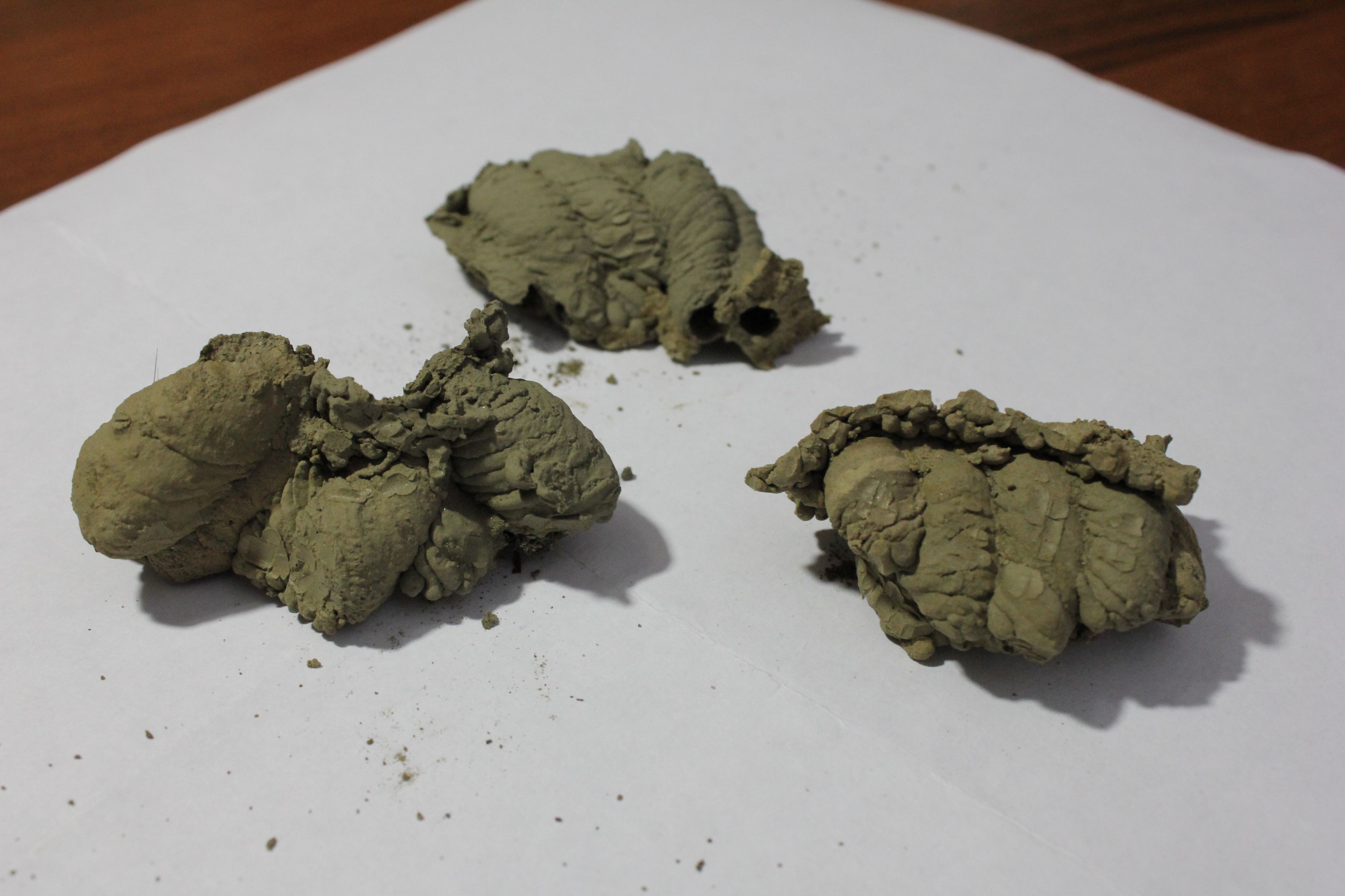 Вот вид  сзади.