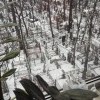 Тихие соседи