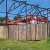 "Ноев Ковчег"_7 "Ноев Ковчег"_7