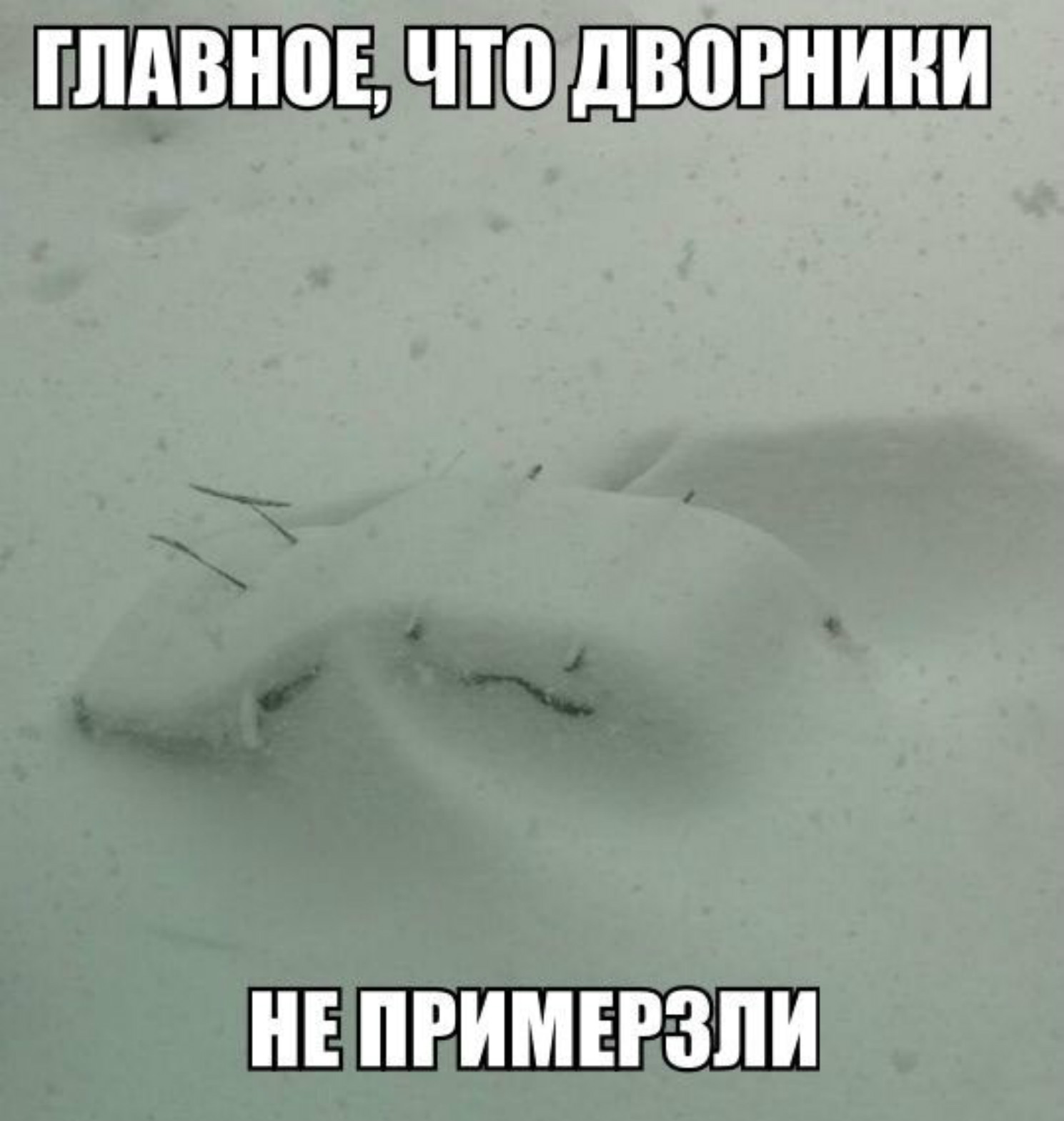 Не примерзли дворники