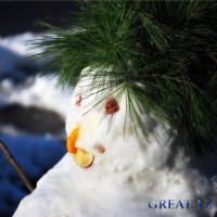 Снеговик-Сибирская Язва