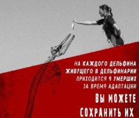 C2SmiTisiR4 C2SmiTisiR4