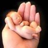 Пятимесячный плод имеет уже ручки, ножки, глазки, пальчики