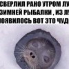 Зимняя рыбалка Зимняя рыбалка