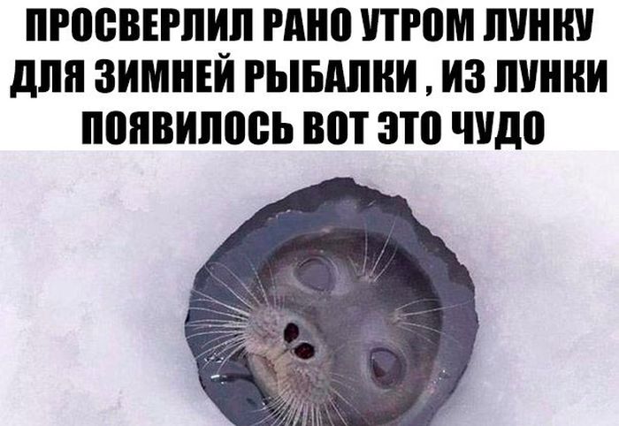 Зимняя рыбалка
