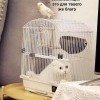 Самоизоляция Самоизоляция