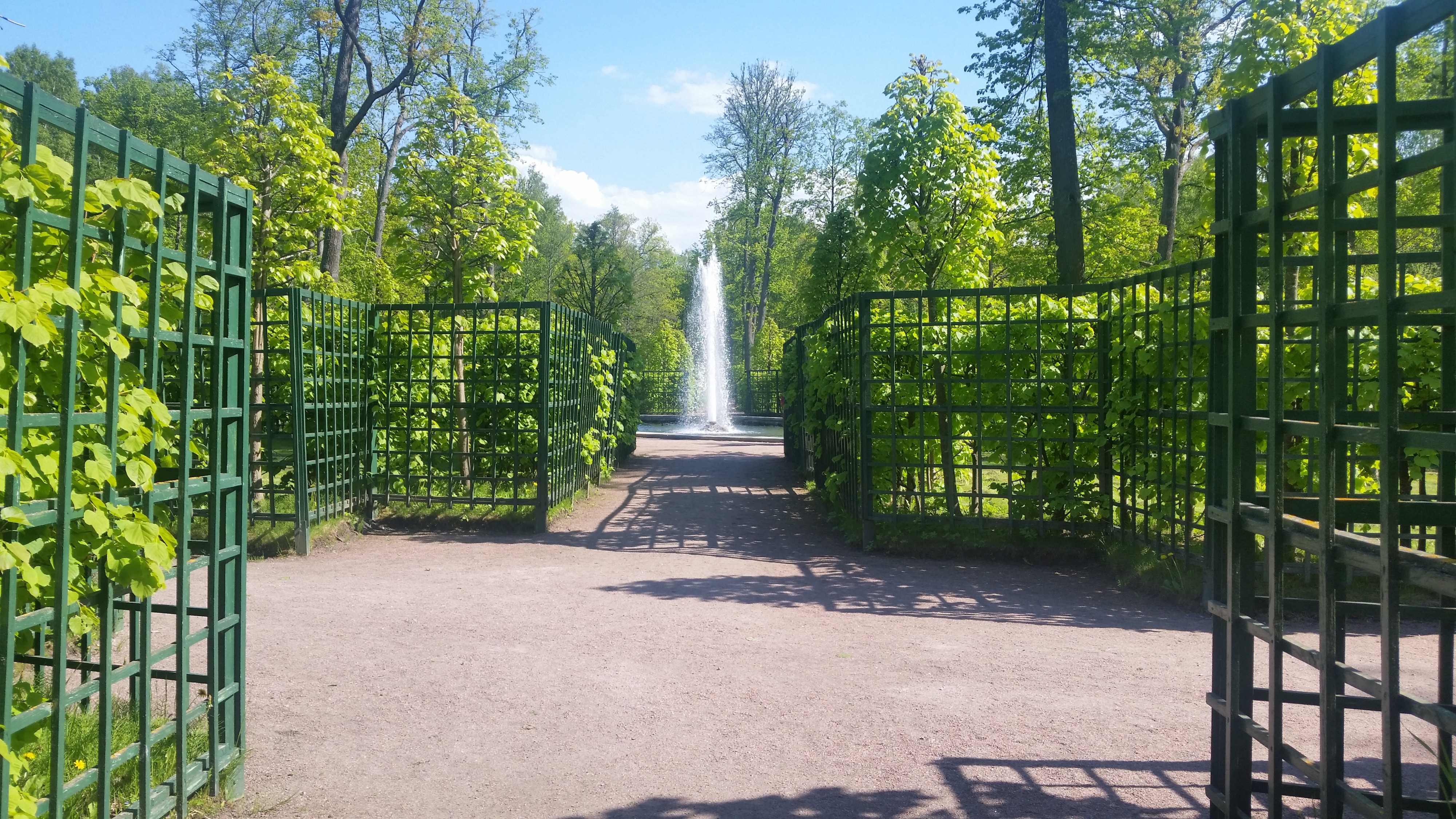 Моё, Санкт-Петербург, город, хорошо, Петергоф