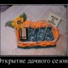 Дачный сезон
