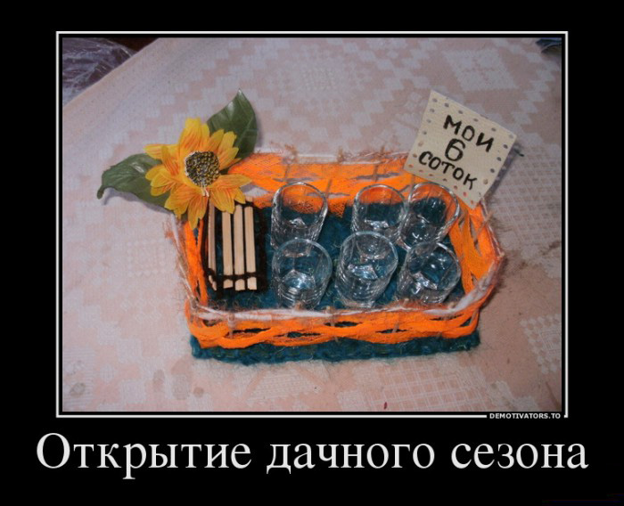 Дачный сезон