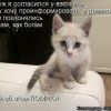 5ac1deb63f0a699c66f4a308e85 prev
