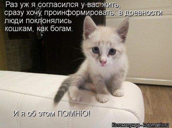 5ac1deb63f0a699c66f4a308e85 prev